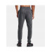 Брюки спортивные Under Armour Terry Jogger 143684568