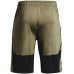 Спортивные шорты UA Raid 2.0 Shorts 62026276