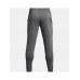 Брюки спортивные Under Armour Terry Jogger 143684568